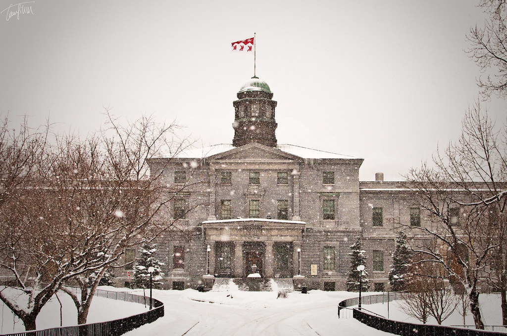 McGill University