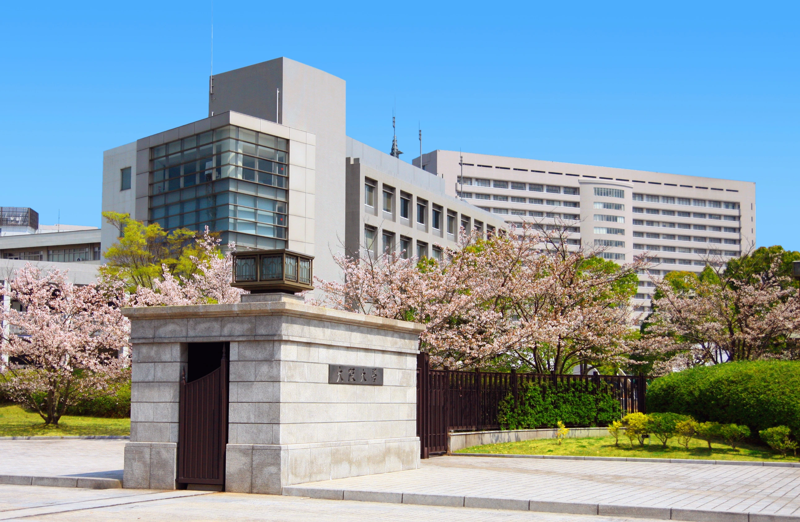 Osaka University